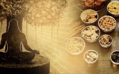 Marma Therapy: Unlocking the Healing Potential of Energy Points